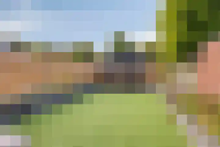 Campinge 12 Zuidlaren thumbnail 48