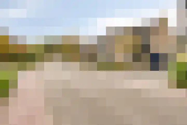 Campinge 12 Zuidlaren thumbnail 5