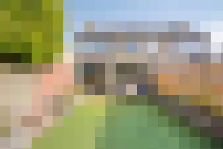 Campinge 12 Zuidlaren thumbnail 51