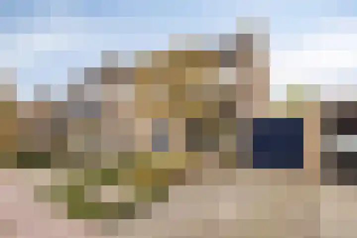 Campinge 12 Zuidlaren thumbnail 6