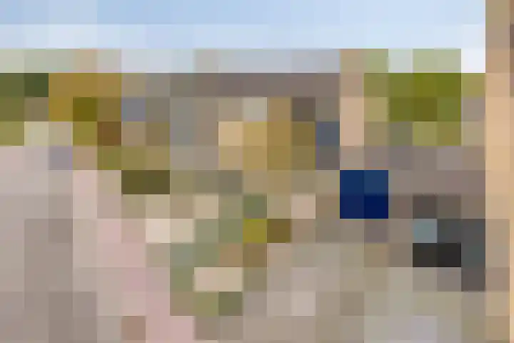Campinge 12 Zuidlaren thumbnail 7