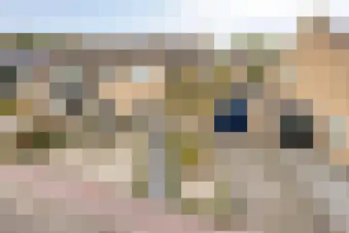 Campinge 12 Zuidlaren thumbnail 8