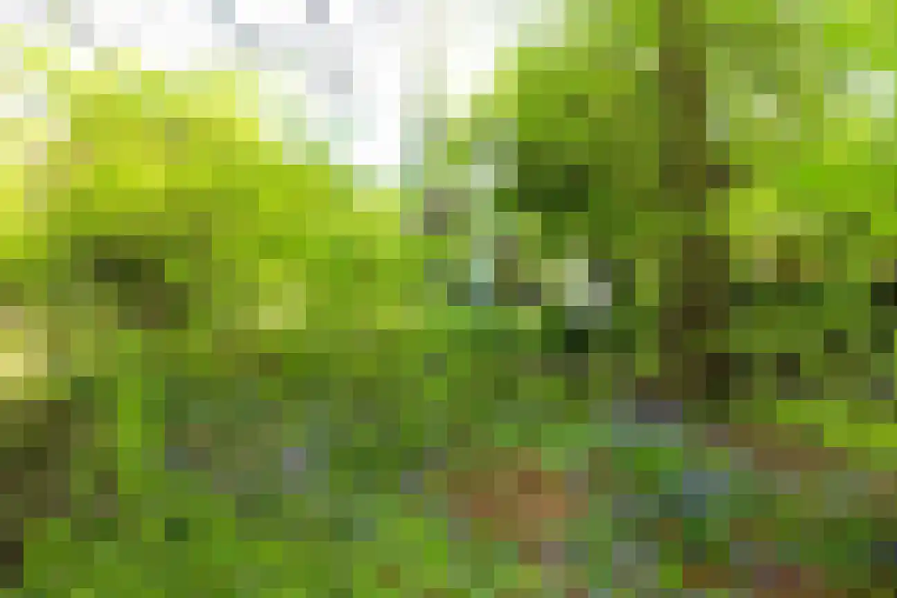 Campinglaan 3 223 Groningen thumbnail 20