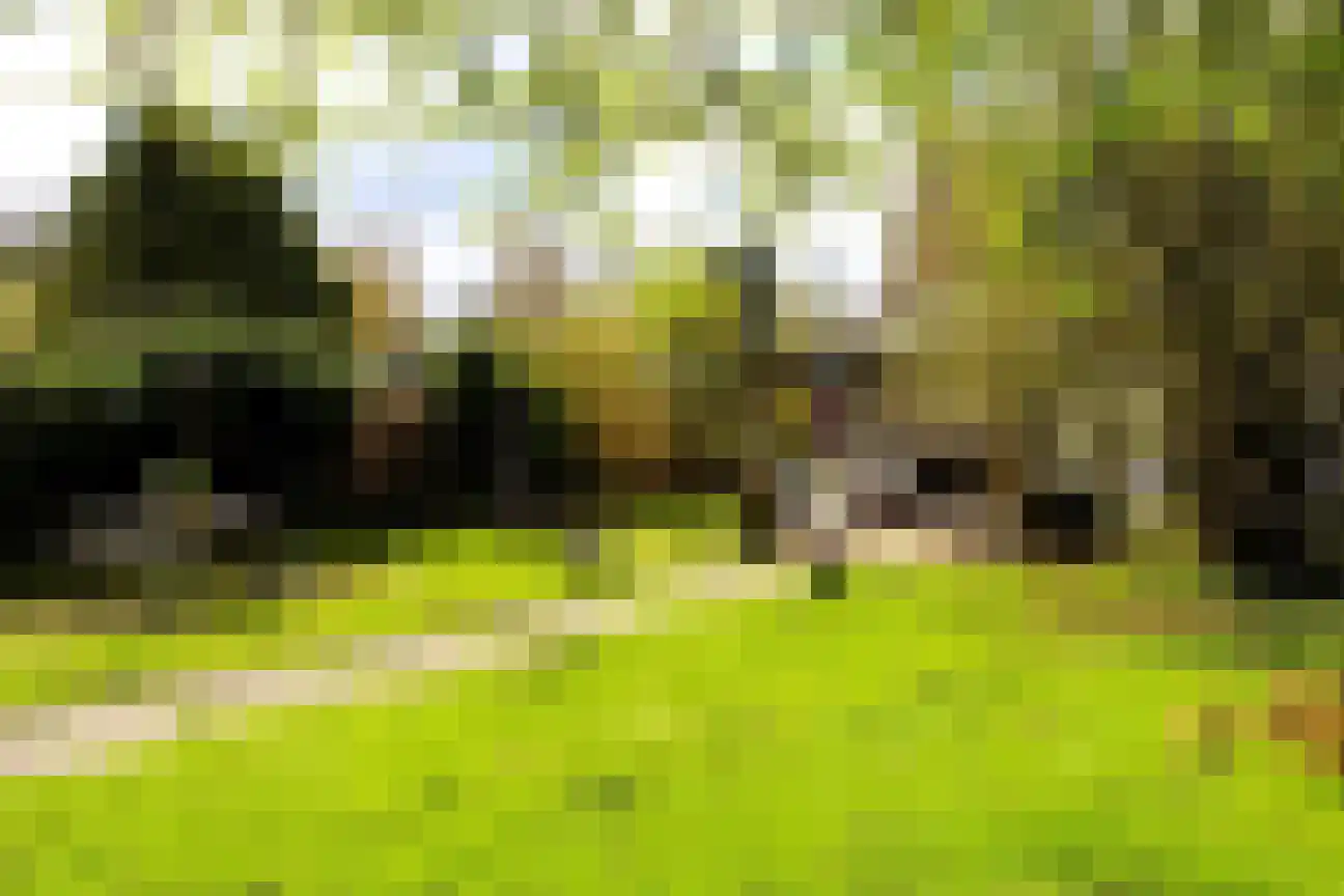 Campinglaan 3 223 Groningen thumbnail 4