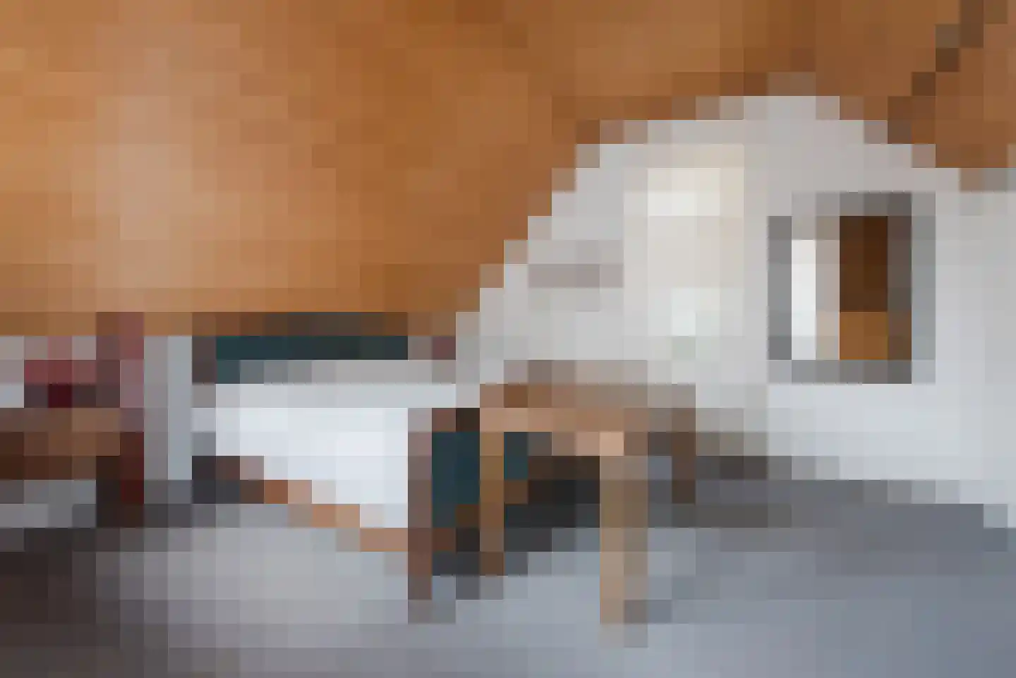 Camplaan 14 Heemstede thumbnail 21