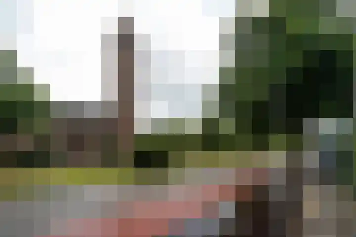 Camplaan 3 B Heemstede thumbnail 22