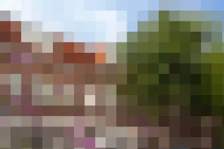Camplaan 3 B Heemstede thumbnail 25