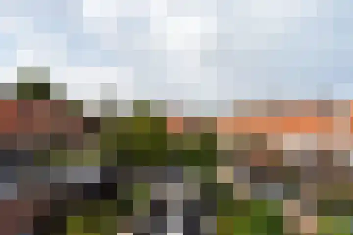 Camplaan 3 B Heemstede thumbnail 4