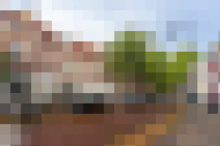 Camplaan 3 B Heemstede thumbnail 5
