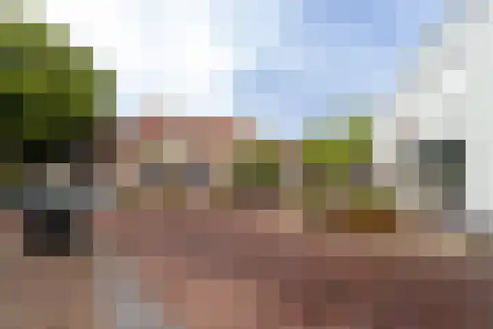 Camplaan 3 B Heemstede thumbnail 6