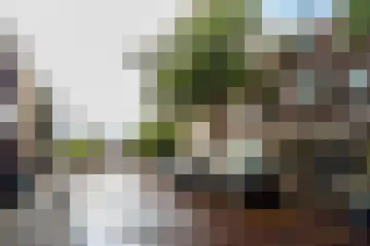 Camplaan 3 B Heemstede thumbnail 7