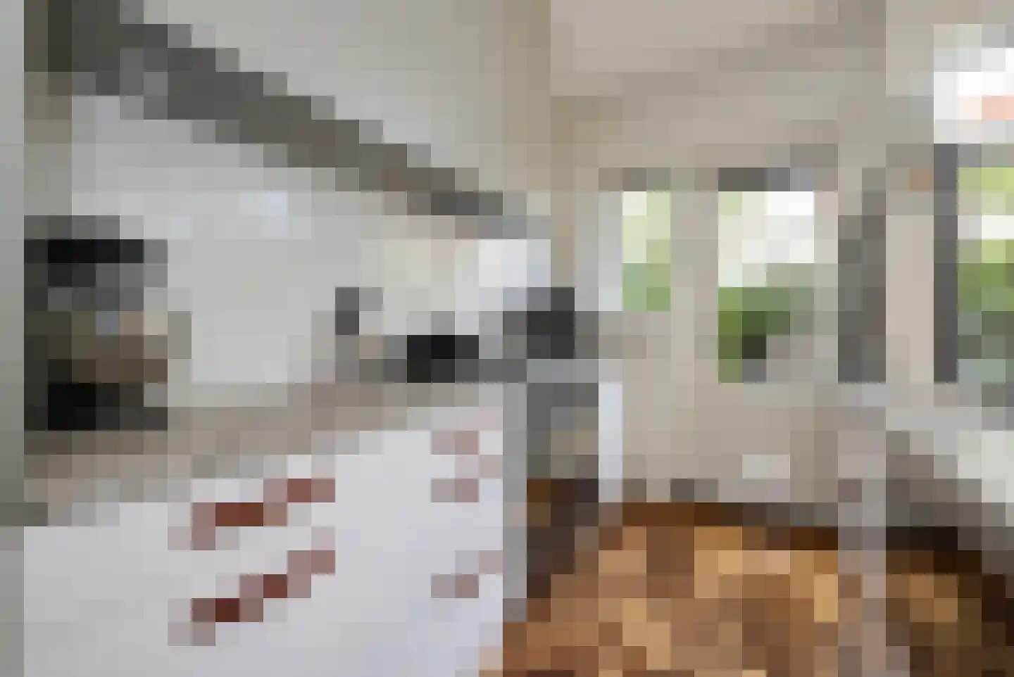 Camplaan 9 A Heemstede thumbnail 10