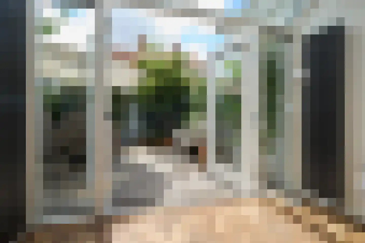 Camplaan 9 A Heemstede thumbnail 11