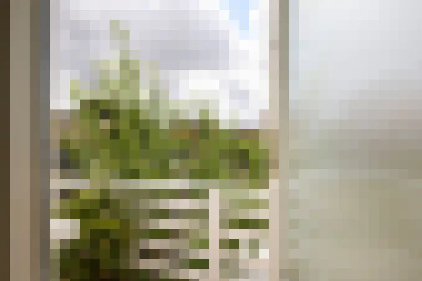 Camplaan 9 A Heemstede thumbnail 24