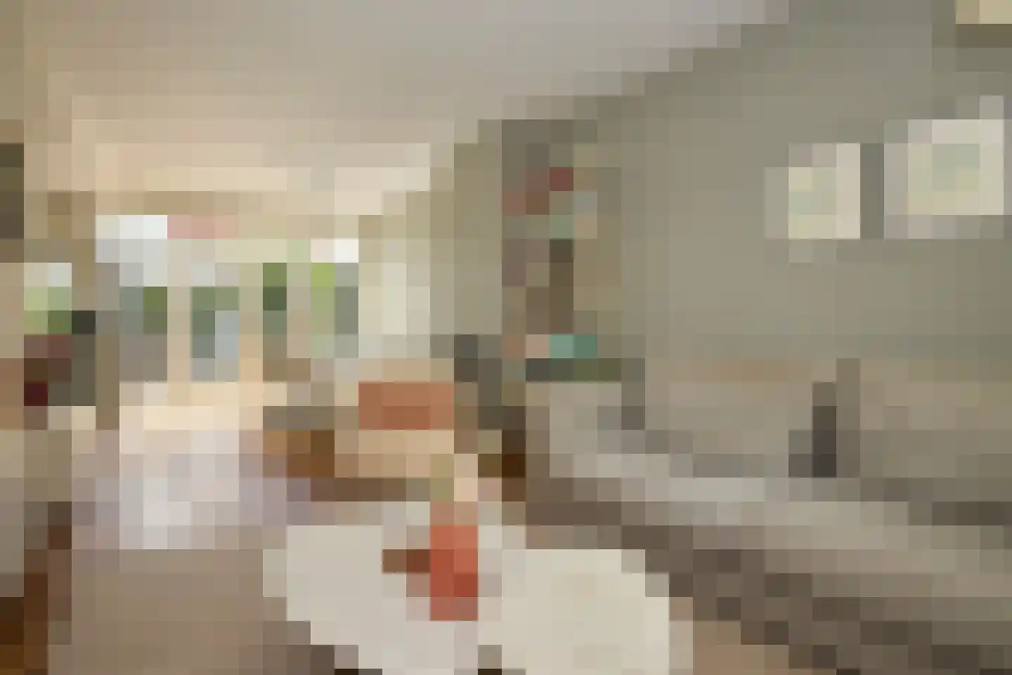 Camplaan 9 A Heemstede thumbnail 6