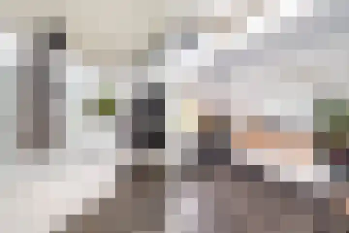 Campstede 1 Doesburg thumbnail 11