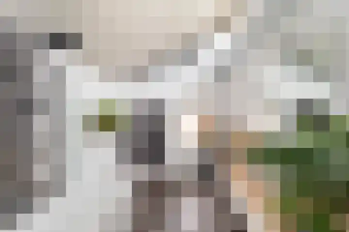 Campstede 1 Doesburg thumbnail 12