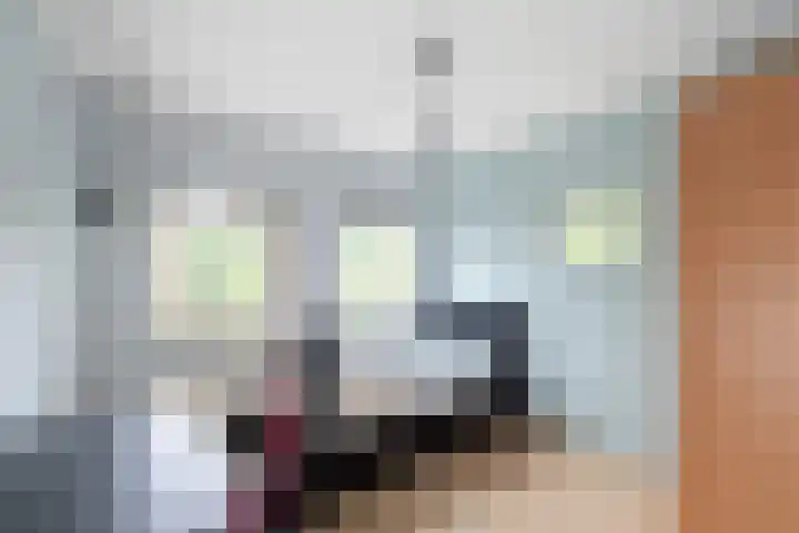 Campstede 1 Doesburg thumbnail 14