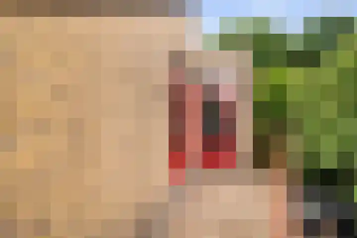 Campstede 1 Doesburg thumbnail 15