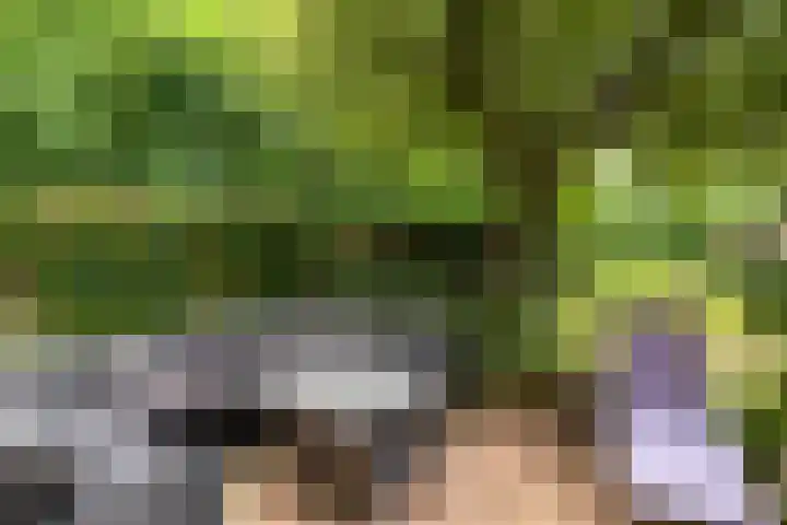 Campstede 1 Doesburg thumbnail 19