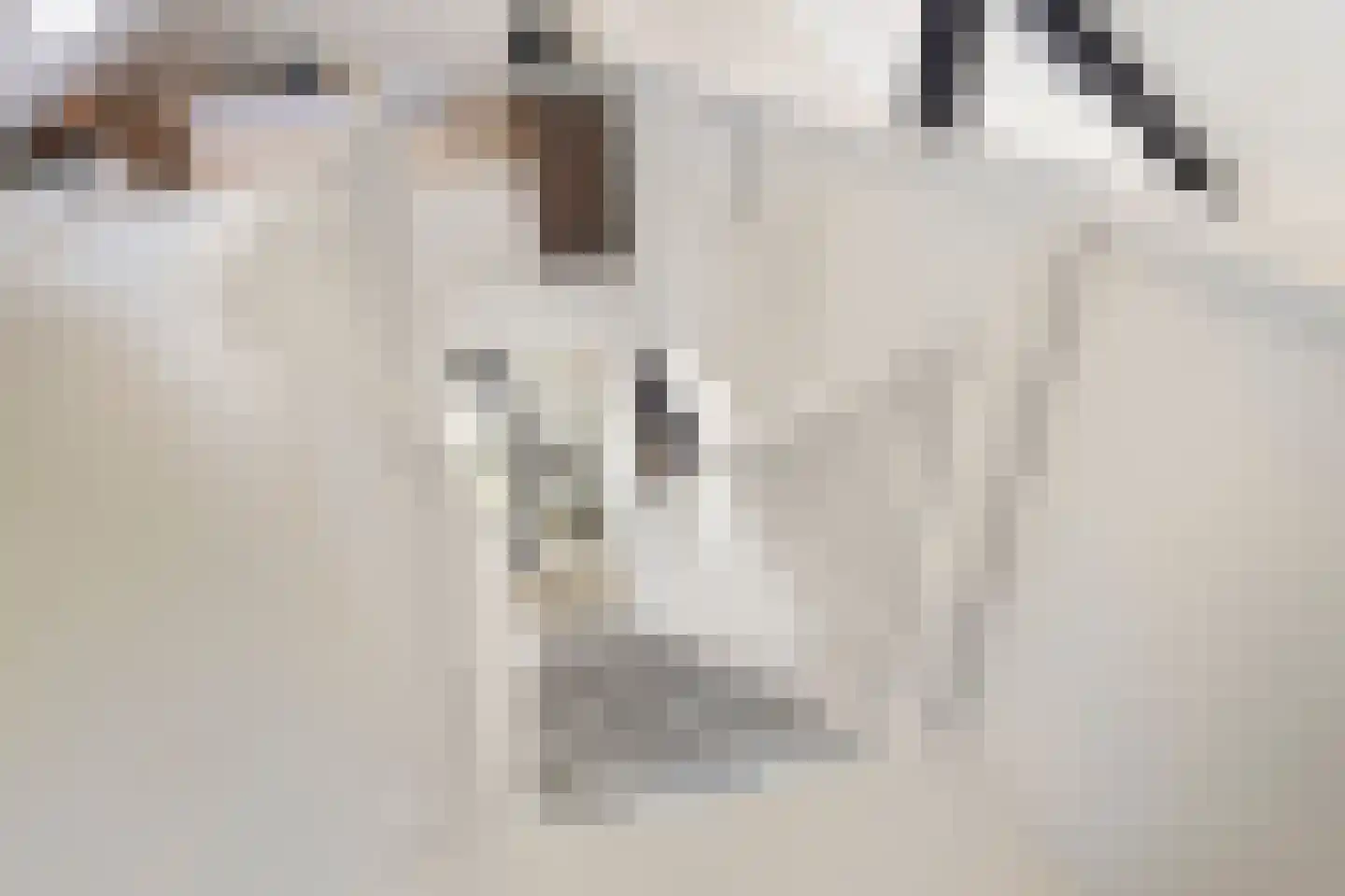 Campstede 1 Doesburg thumbnail 20