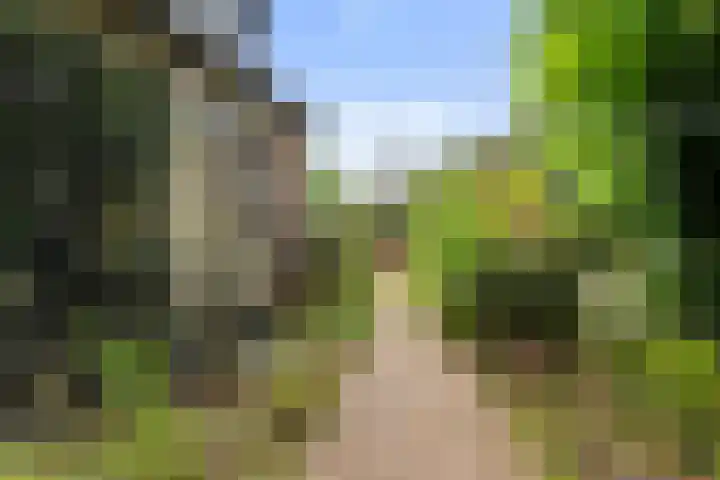 Campstede 1 Doesburg thumbnail 20