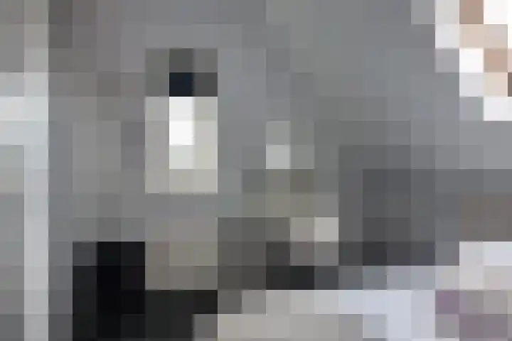 Campstede 1 Doesburg thumbnail 32