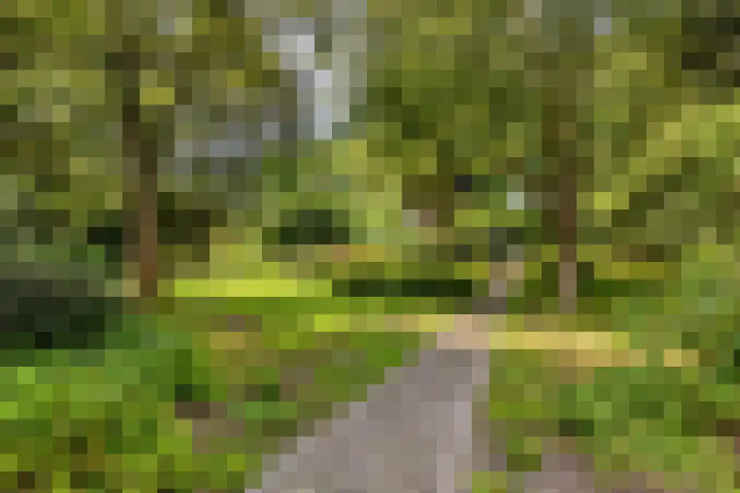 Campweg 3 Sint Philipsland thumbnail 100