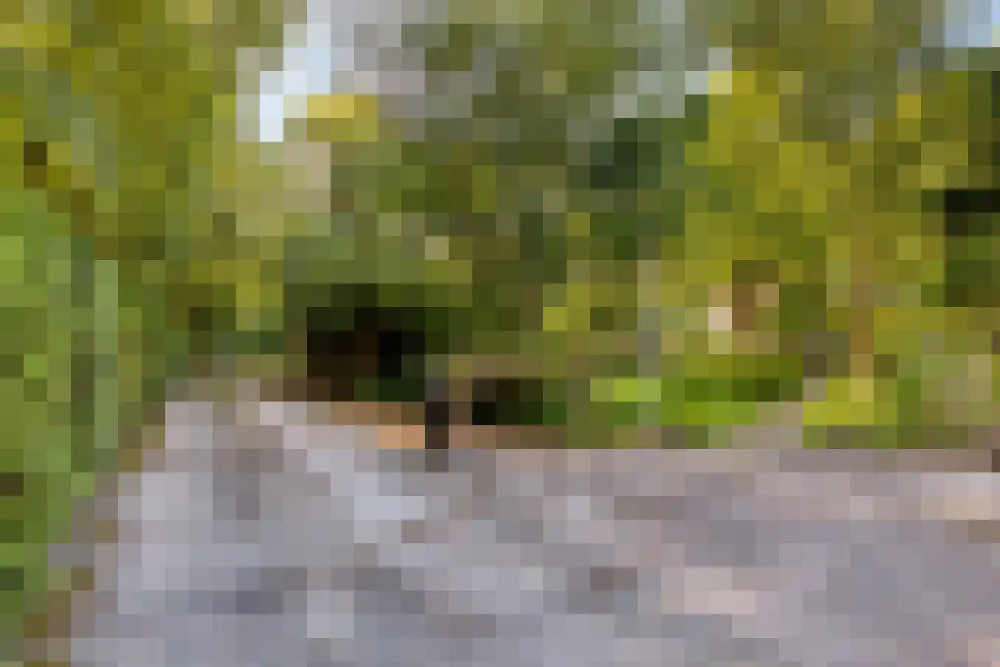Campweg 3 Sint Philipsland thumbnail 101