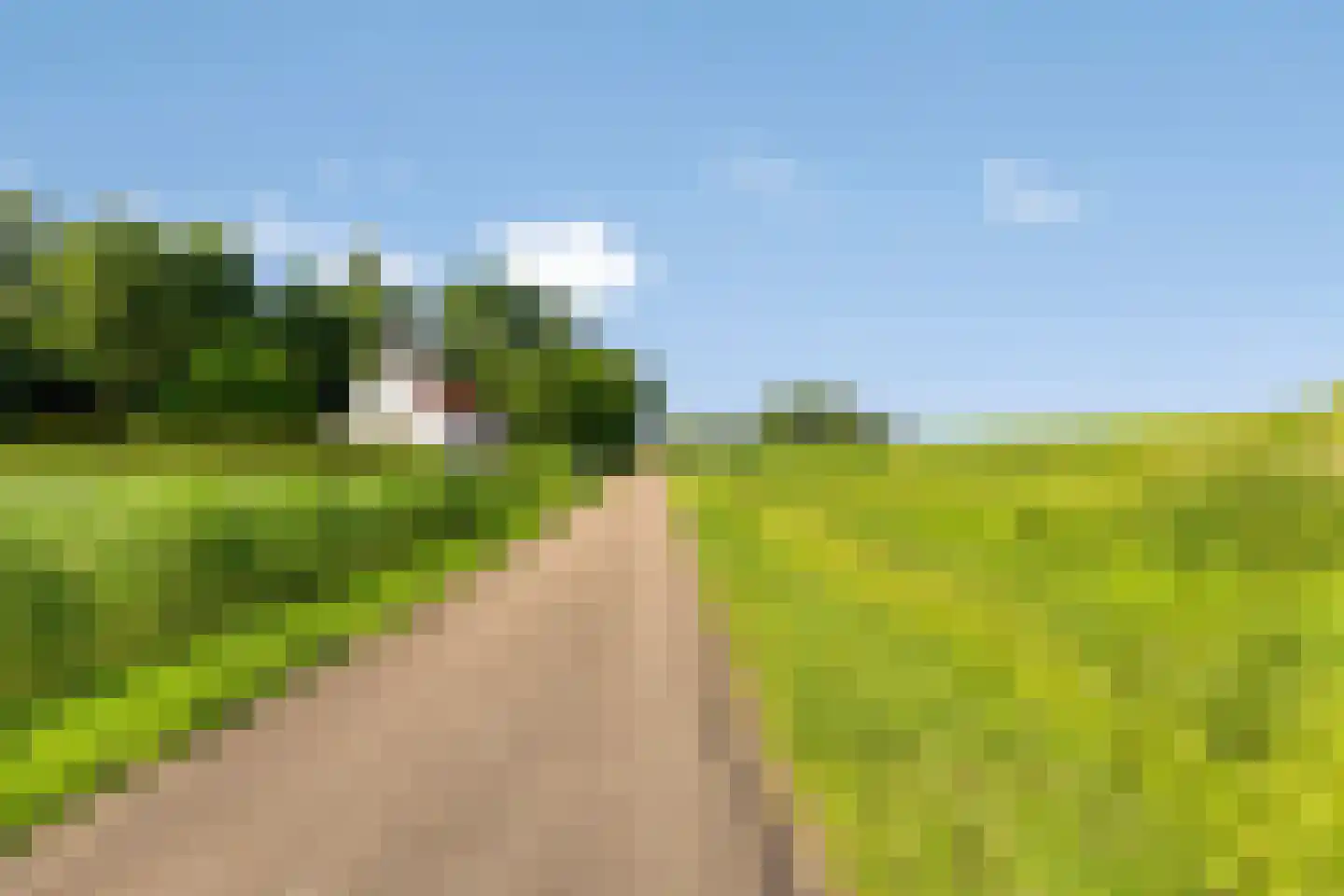Campweg 3 Sint Philipsland thumbnail 102