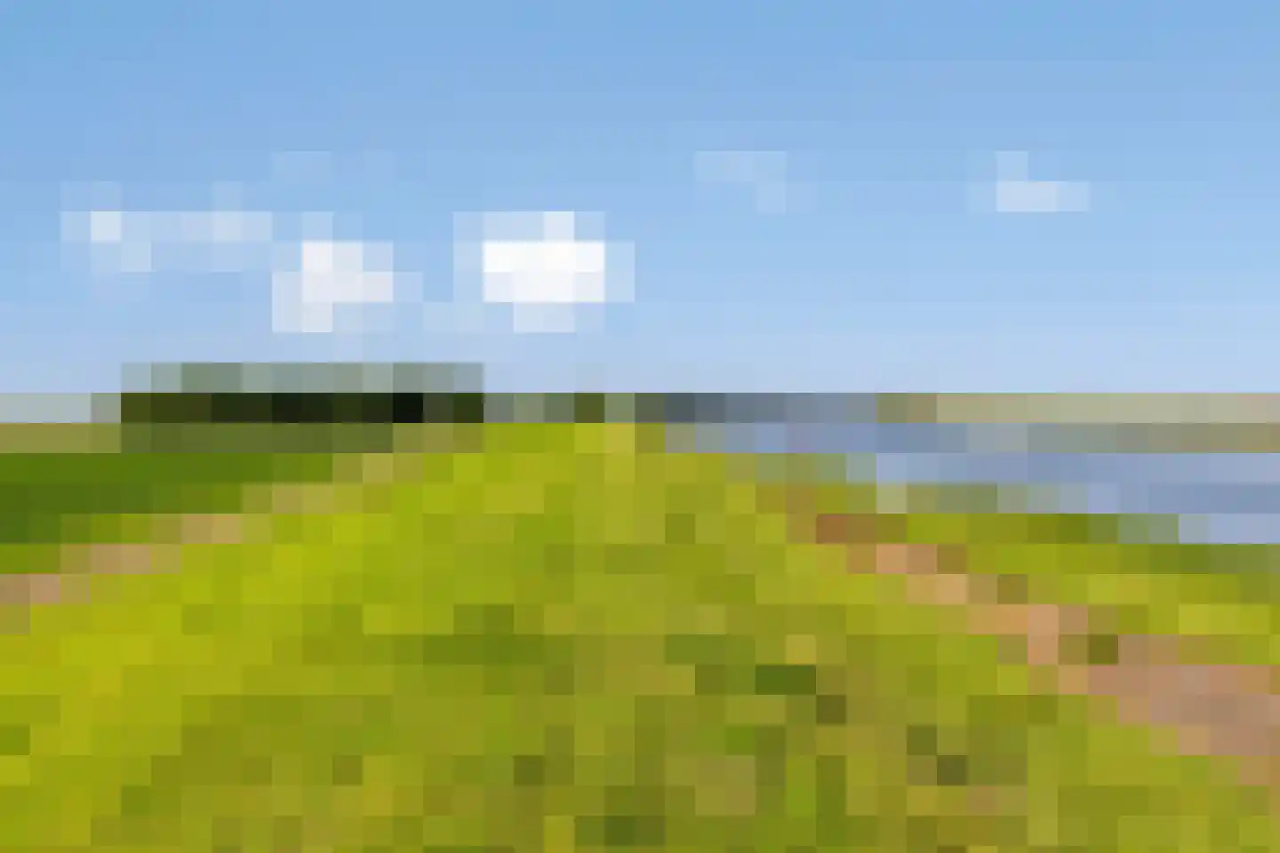 Campweg 3 Sint Philipsland thumbnail 103