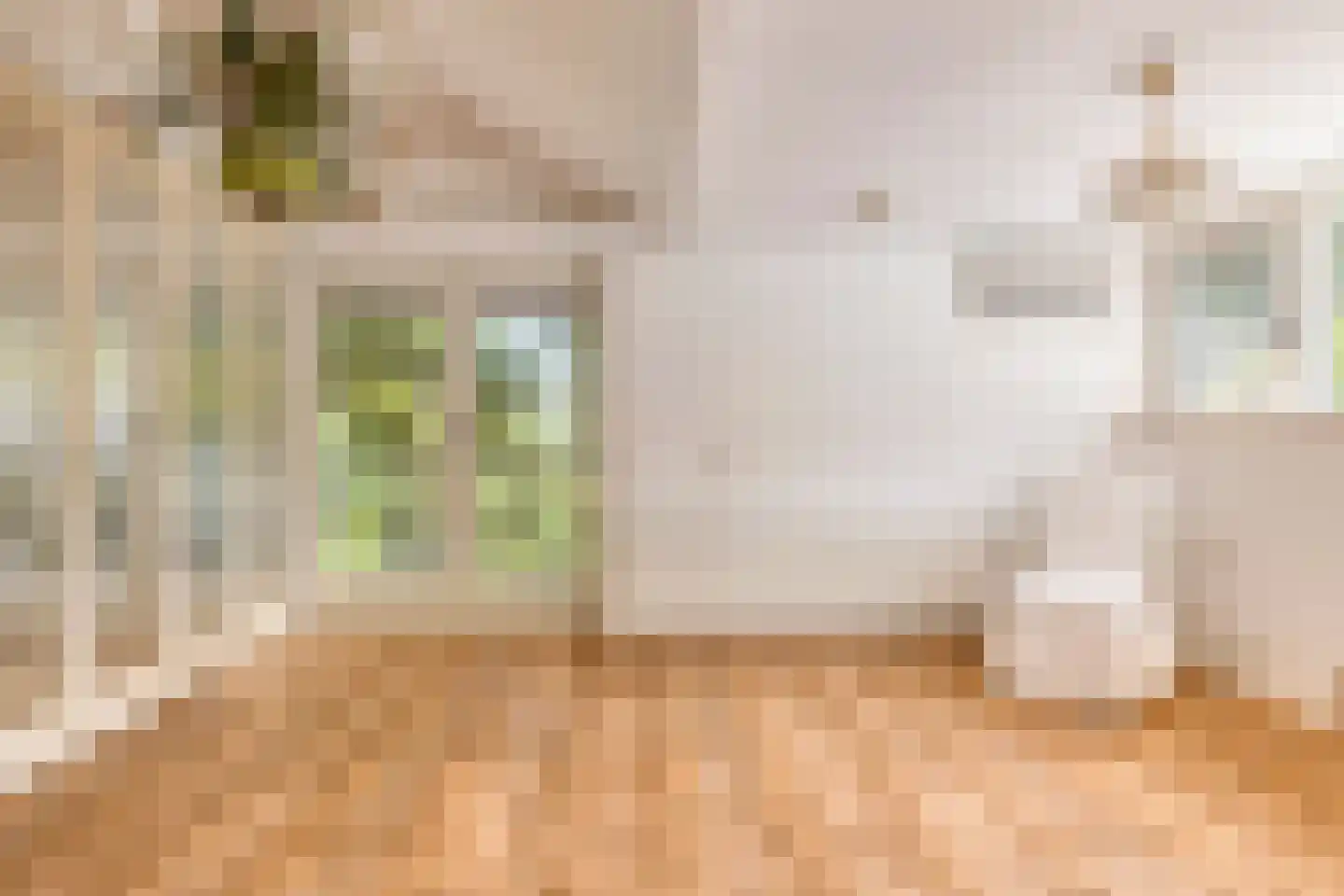 Campweg 3 Sint Philipsland thumbnail 38