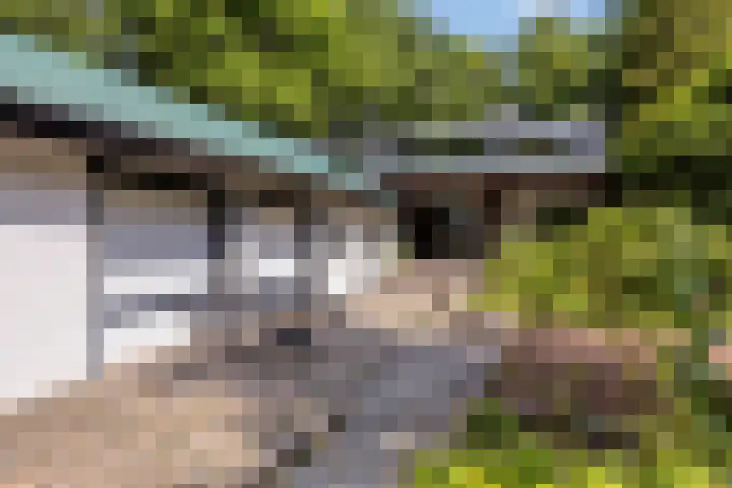 Campweg 3 Sint Philipsland thumbnail 4