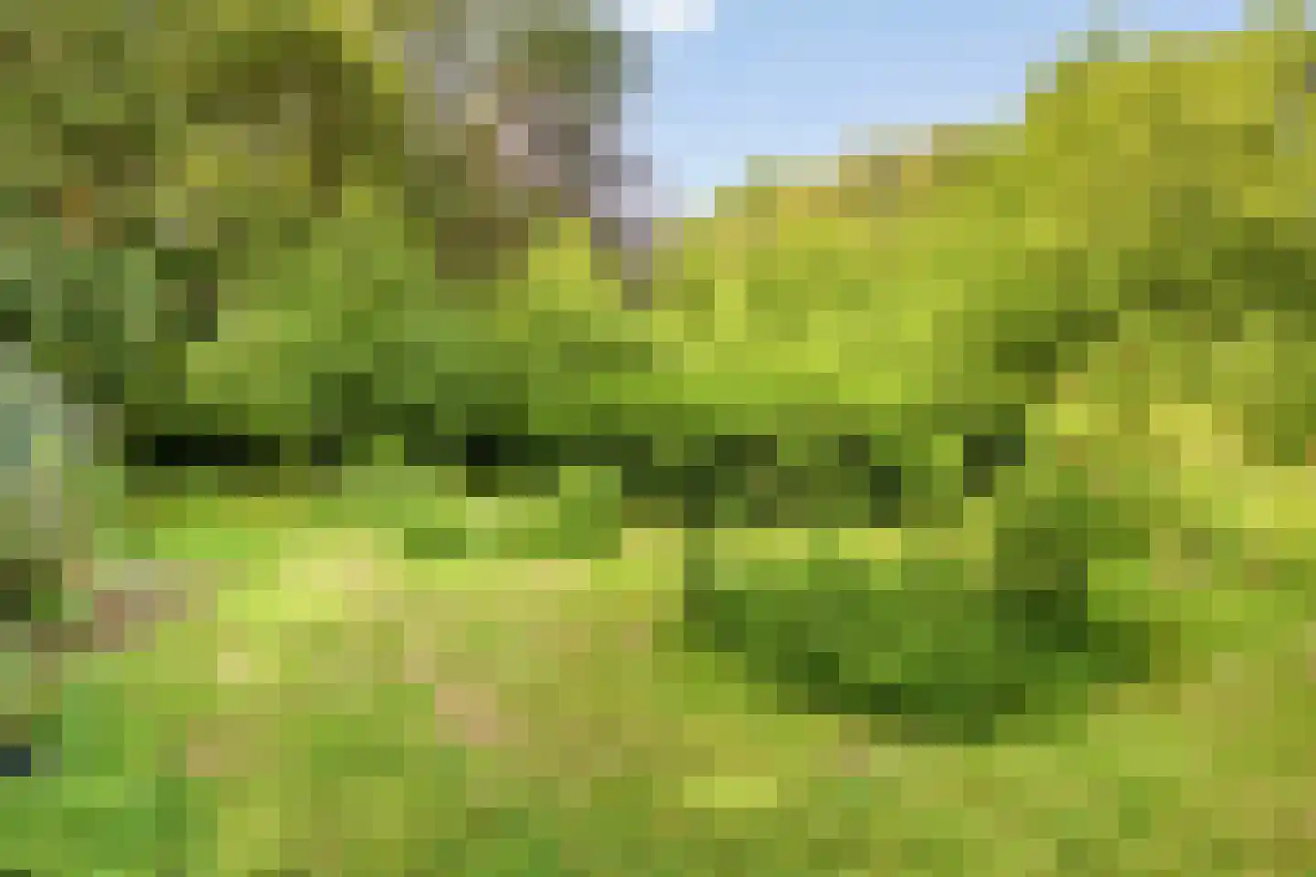 Campweg 3 Sint Philipsland thumbnail 5