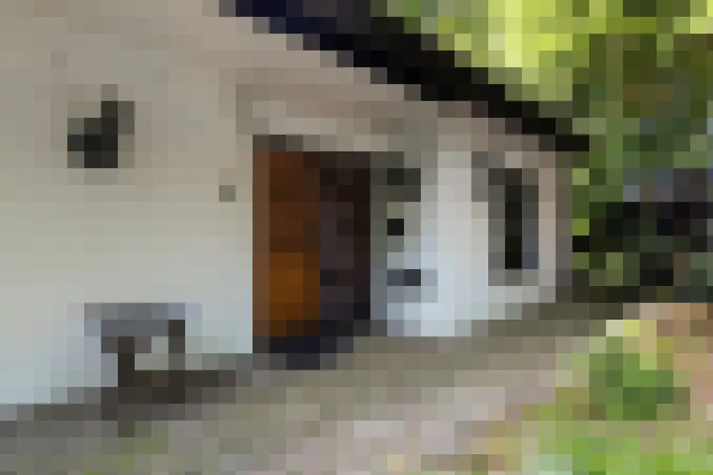 Campweg 3 Sint Philipsland thumbnail 6