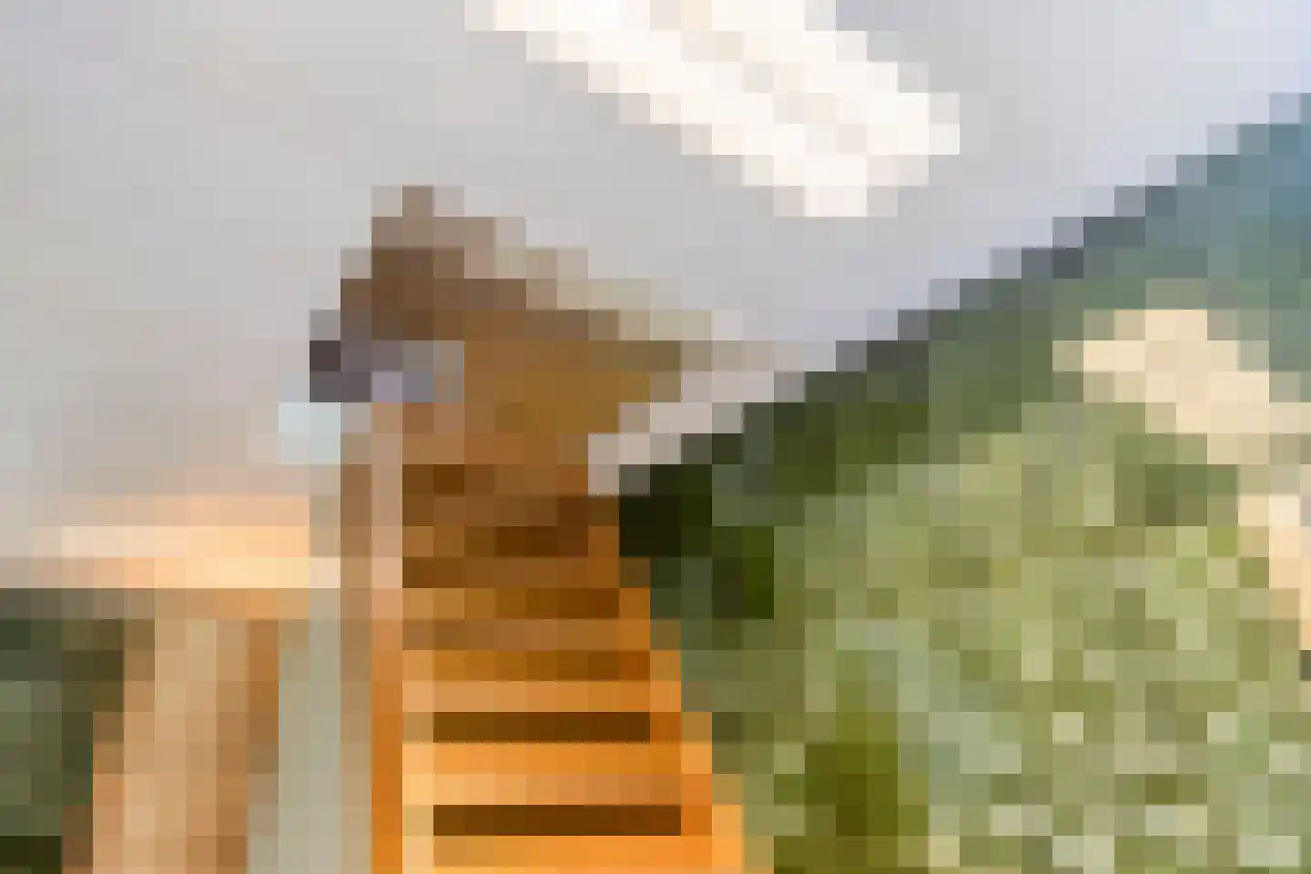 Campweg 3 Sint Philipsland thumbnail 60