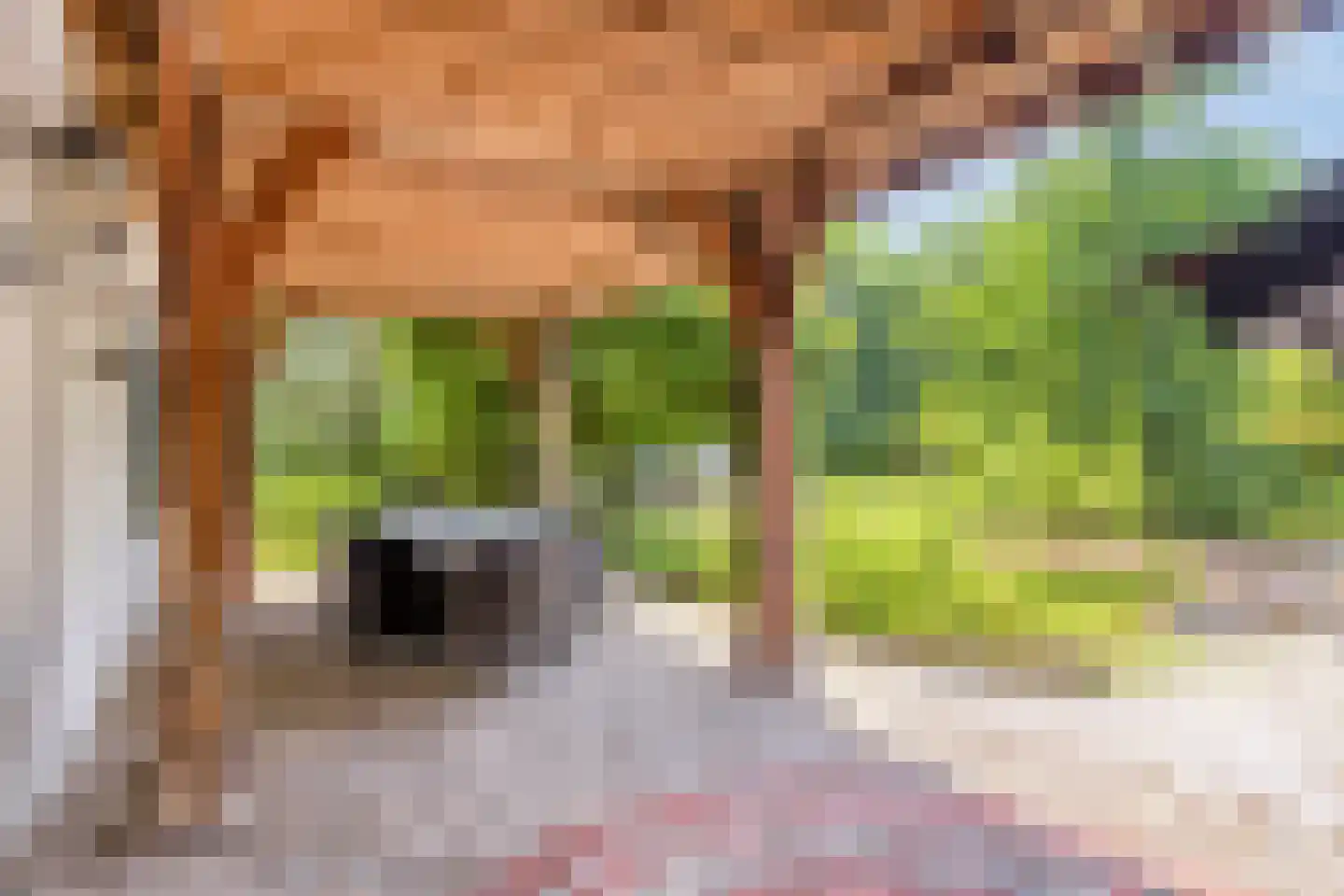 Campweg 3 Sint Philipsland thumbnail 65