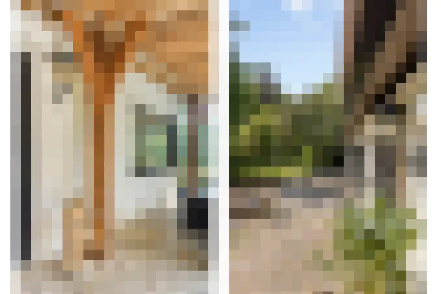 Campweg 3 Sint Philipsland thumbnail 66