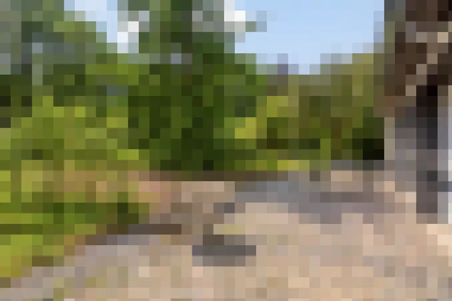 Campweg 3 Sint Philipsland thumbnail 68