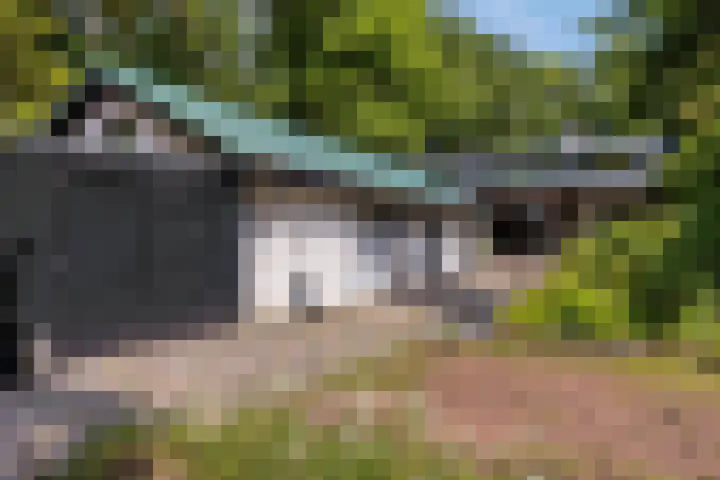 Campweg 3 Sint Philipsland thumbnail 69