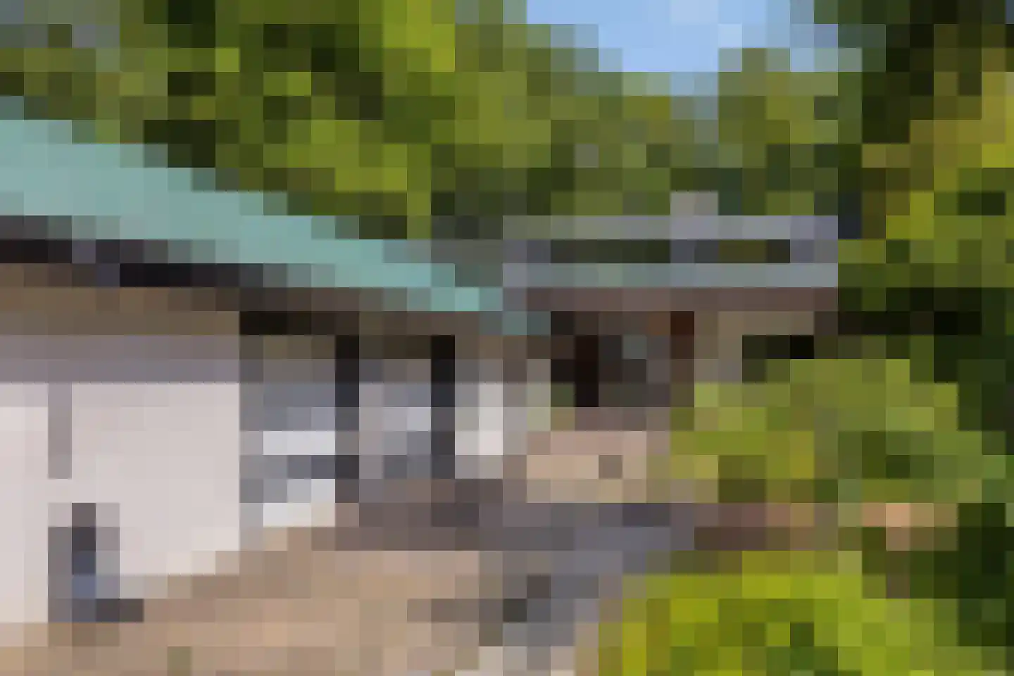 Campweg 3 Sint Philipsland thumbnail 70