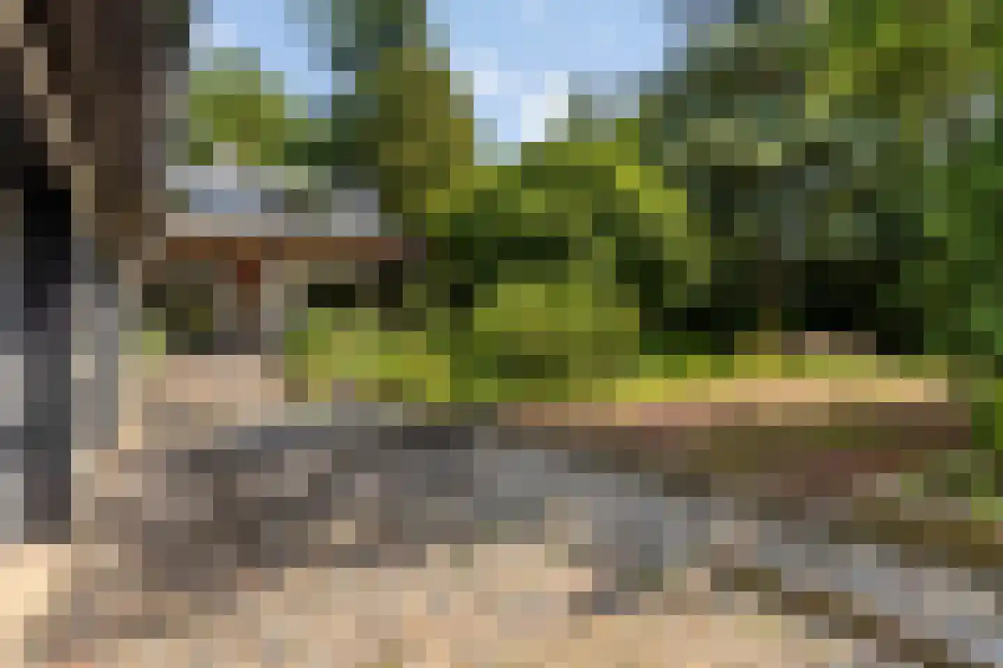 Campweg 3 Sint Philipsland thumbnail 71