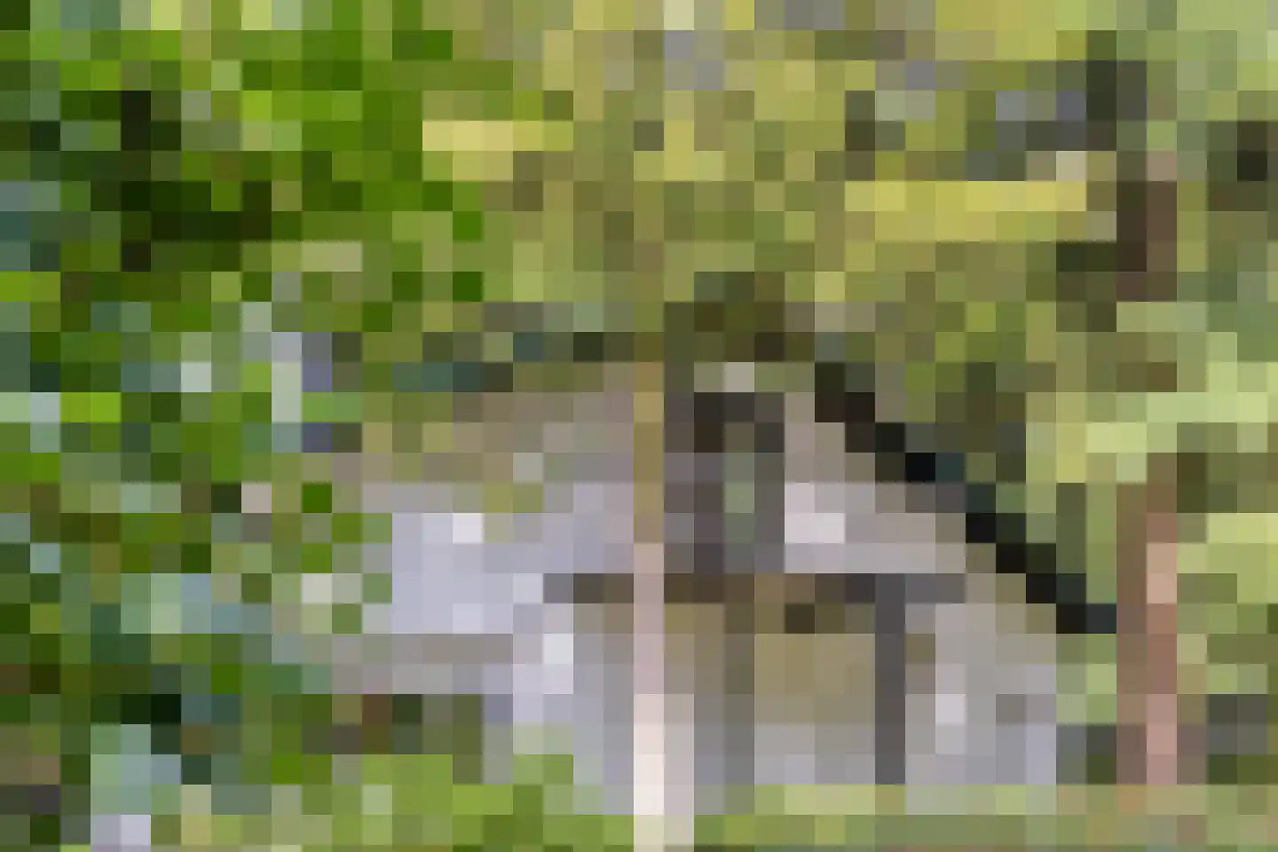 Campweg 3 Sint Philipsland thumbnail 75