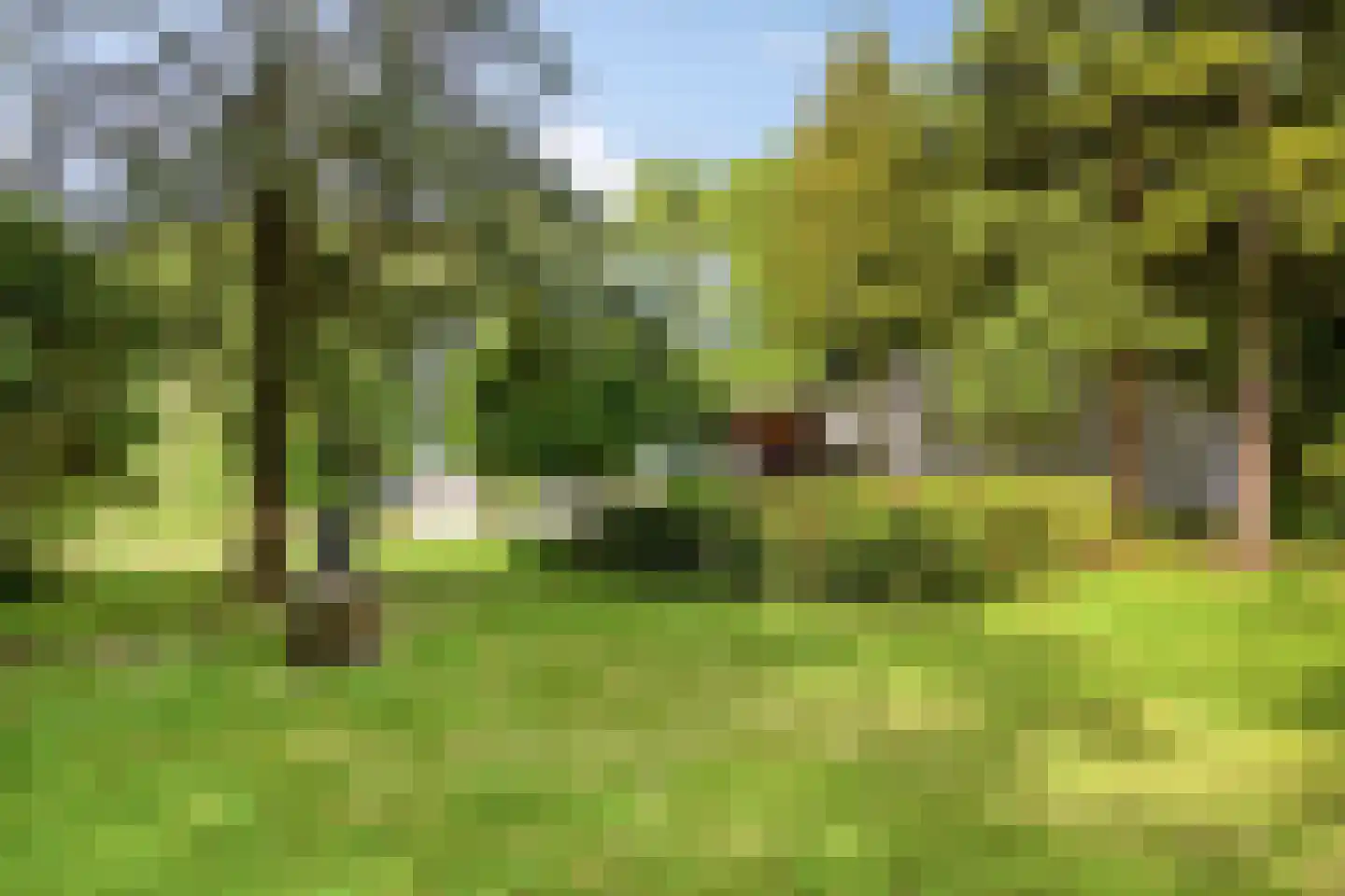 Campweg 3 Sint Philipsland thumbnail 76