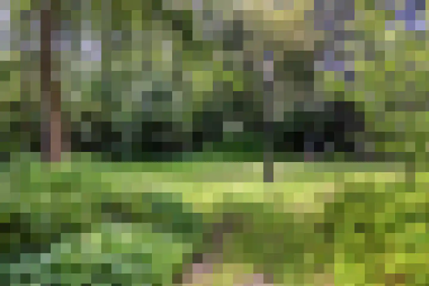 Campweg 3 Sint Philipsland thumbnail 78