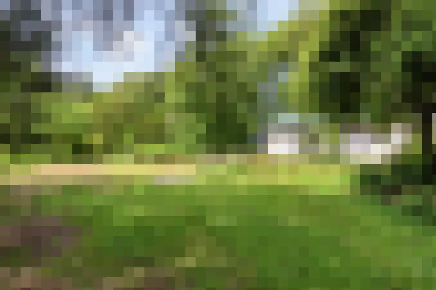 Campweg 3 Sint Philipsland thumbnail 79