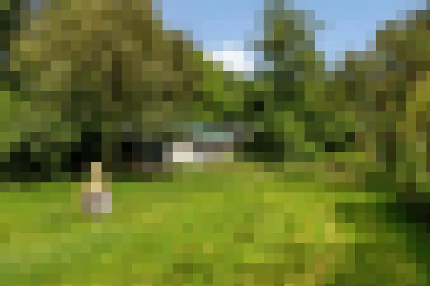 Campweg 3 Sint Philipsland thumbnail 81