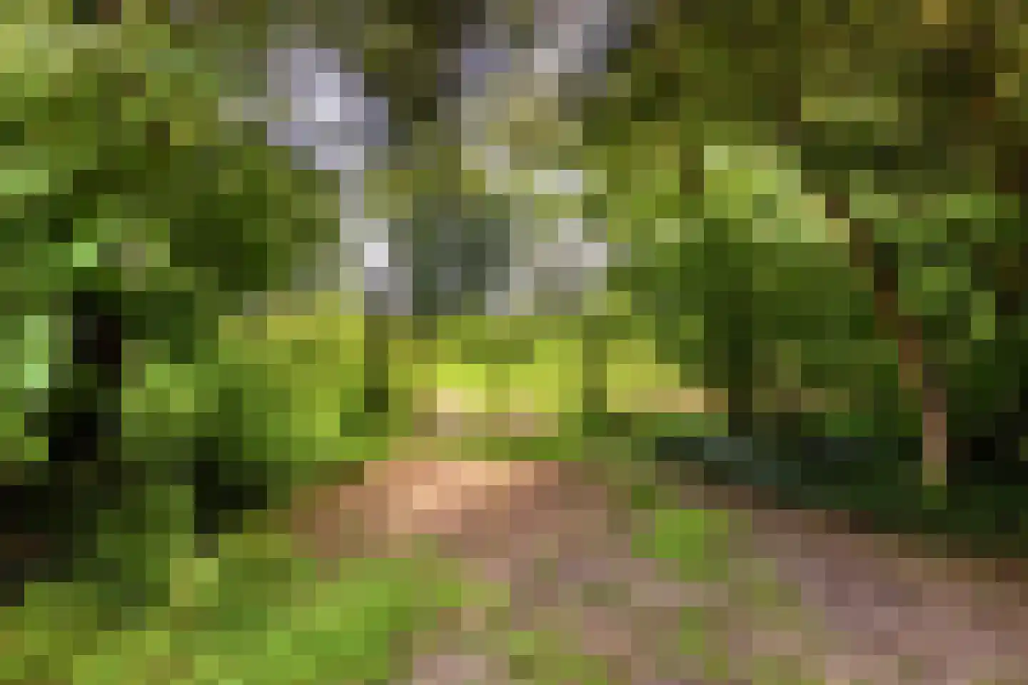 Campweg 3 Sint Philipsland thumbnail 88