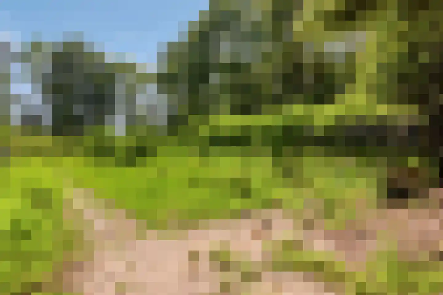 Campweg 3 Sint Philipsland thumbnail 89