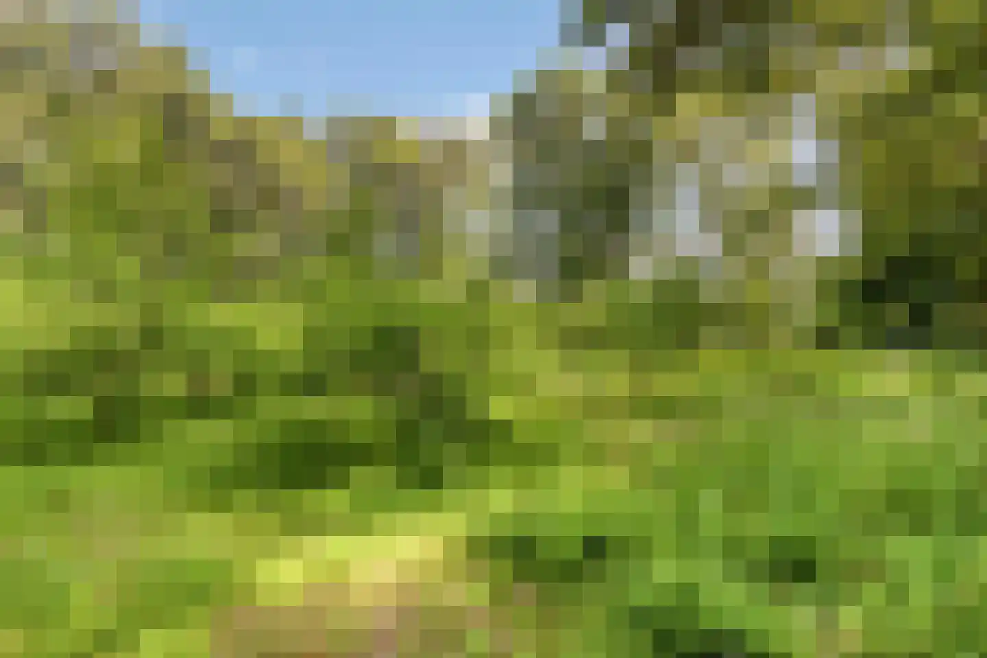 Campweg 3 Sint Philipsland thumbnail 90